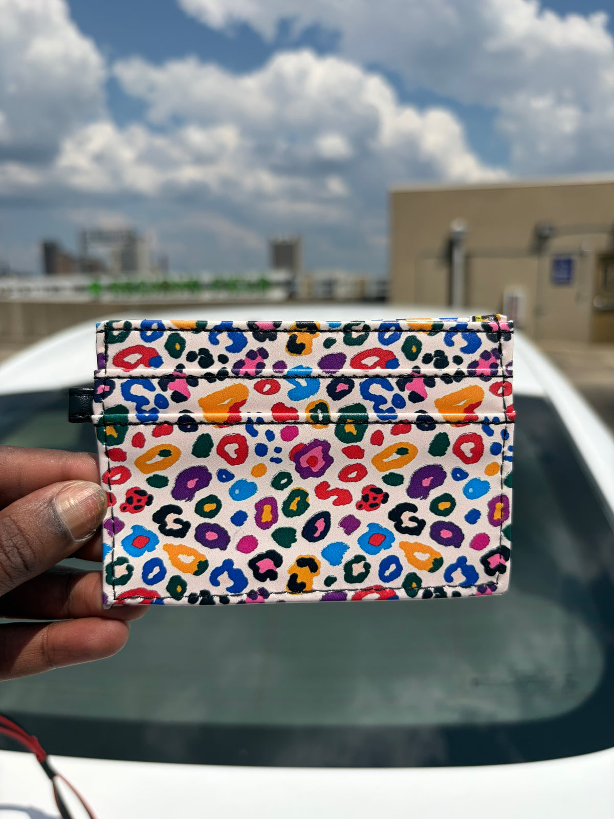 Multicolor Card Holder